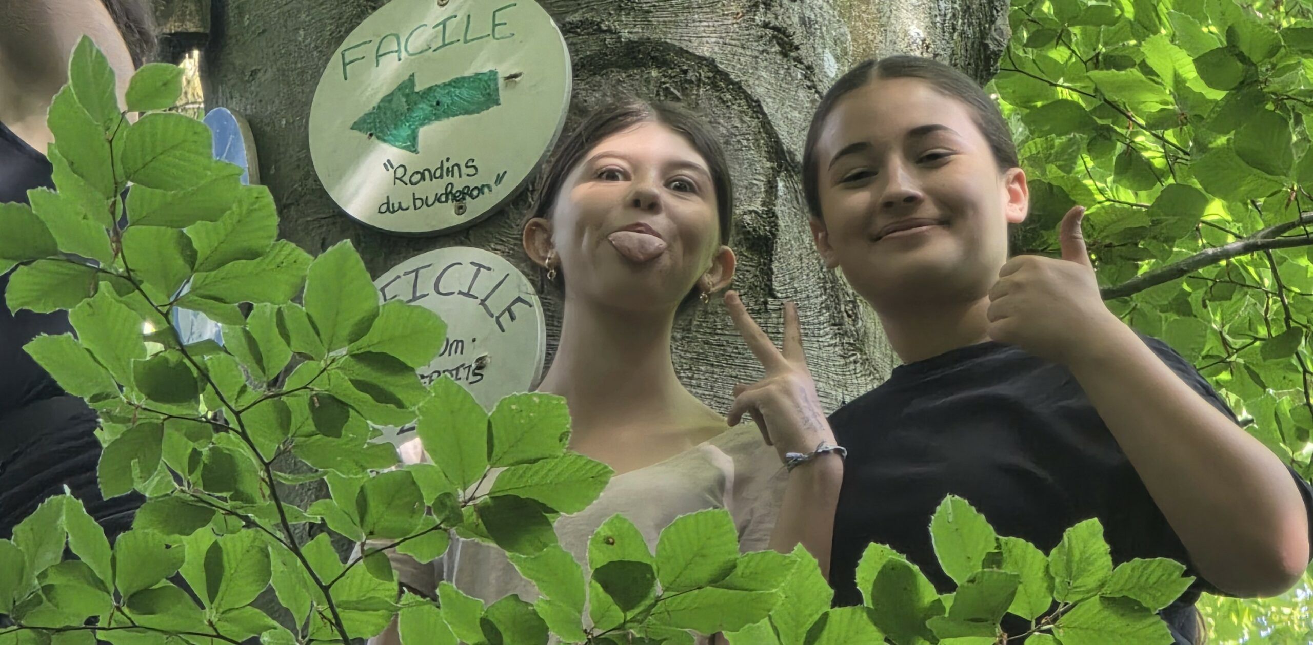 Élèves de 4ème sur un parcours accrobranche à Cimes Aventure.